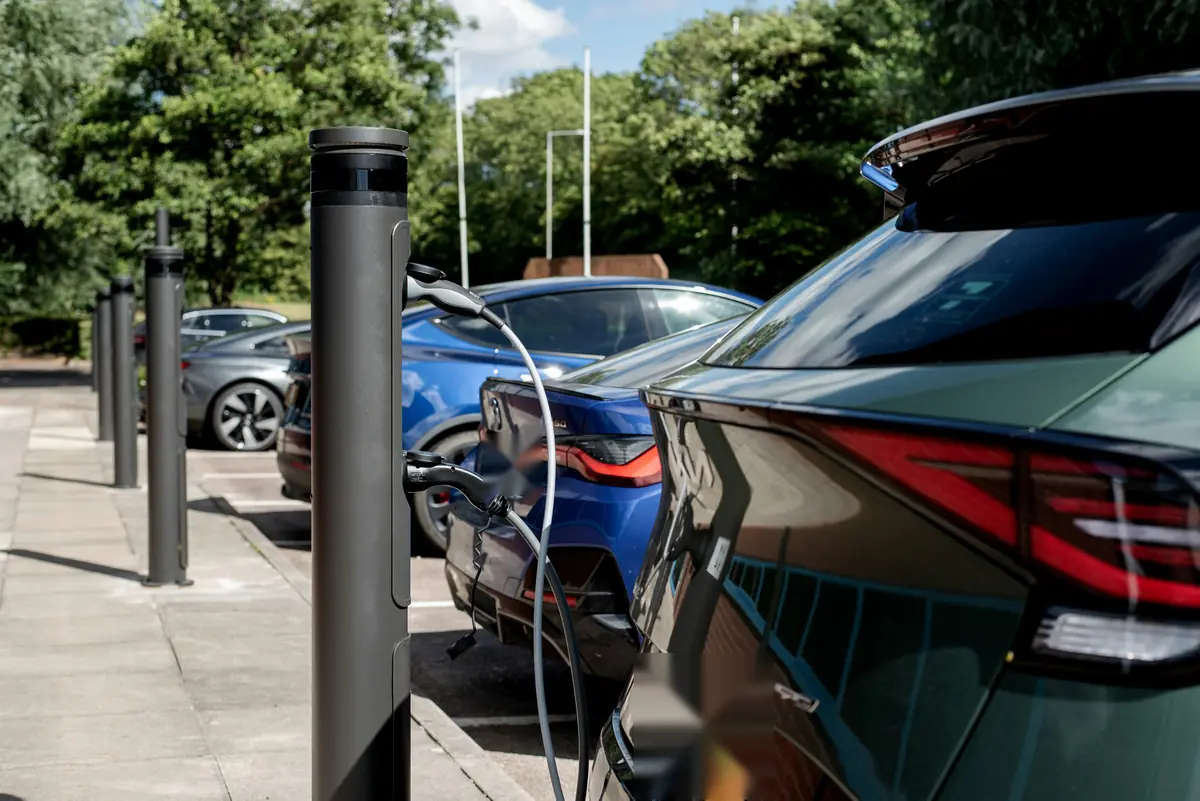 Cars charging at bollard chargers in a tree-lined car park