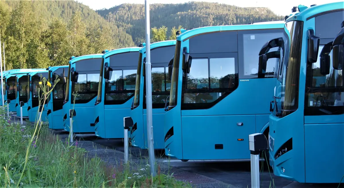 A line of electric buses parked at a depot